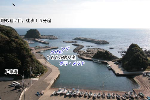 宮川港の釣り Ll 神奈川県の海釣りガイド