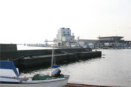 佐島漁港　離れの堤防