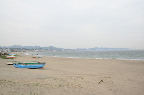 三浦海岸　根