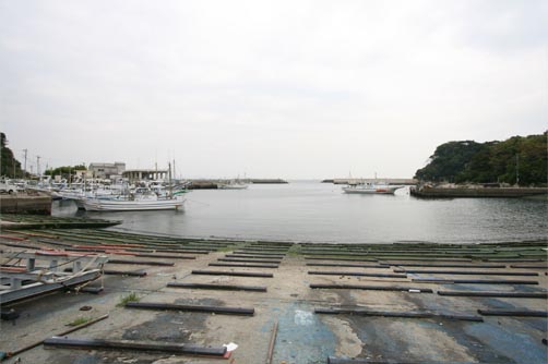 間口港の釣り Ll 神奈川県の海釣りガイド